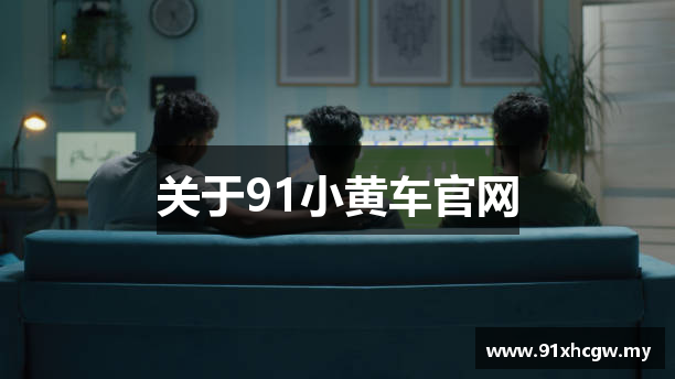 关于91小黄车官网